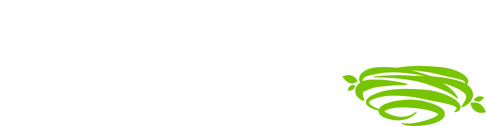 BirdNest Website Logo 75